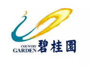 龙湾镇碧桂园地产